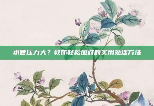 水管壓力大,？教你輕松應對的實用處理方法