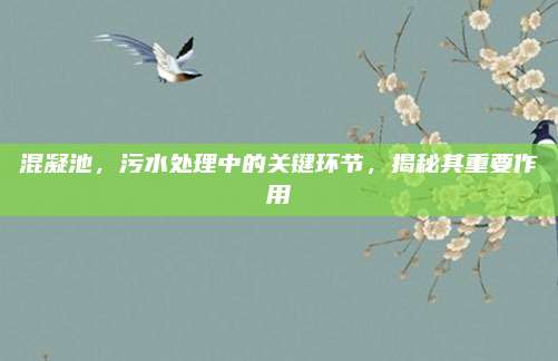 混凝池，污水處理中的關鍵環(huán)節(jié),，揭秘其重要作用