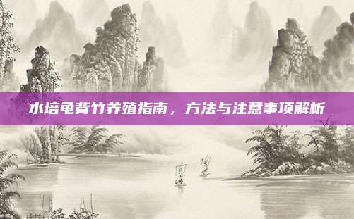 水培龜背竹養(yǎng)殖指南，方法與注意事項解析