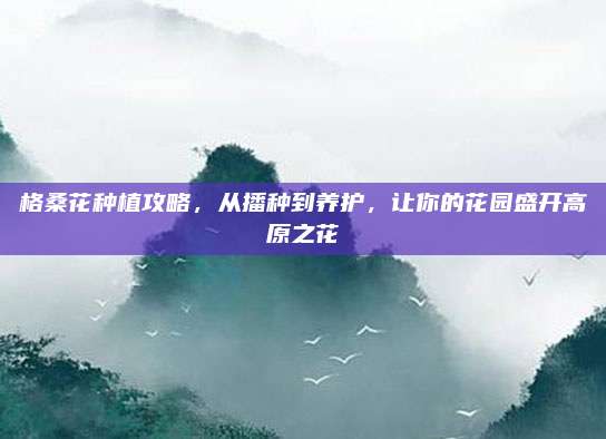 格桑花種植攻略,，從播種到養(yǎng)護,，讓你的花園盛開高原之花