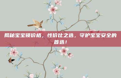 揭秘寶寶鎖價(jià)格，性價(jià)比之選,，守護(hù)寶寶安全的首選,！