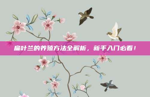 扁葉蘭的養(yǎng)殖方法全解析,，新手入門必看！