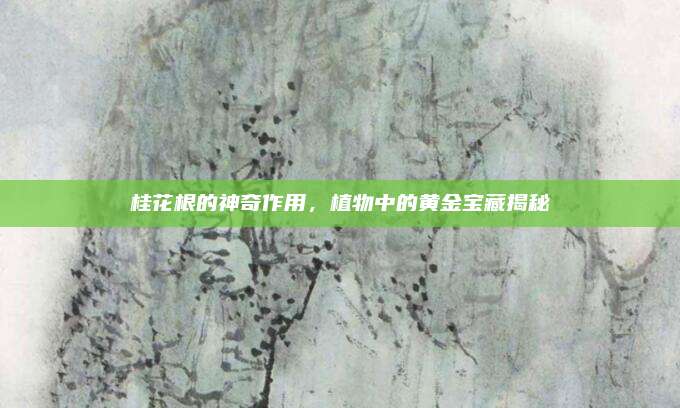 桂花根的神奇作用,，植物中的黃金寶藏揭秘