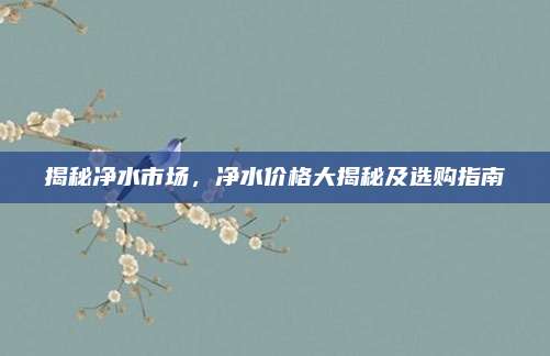 揭秘凈水市場，凈水價格大揭秘及選購指南