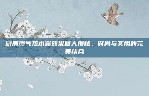 廚房燃?xì)鉄崴餍Ч麍D大揭秘，時(shí)尚與實(shí)用的完美結(jié)合