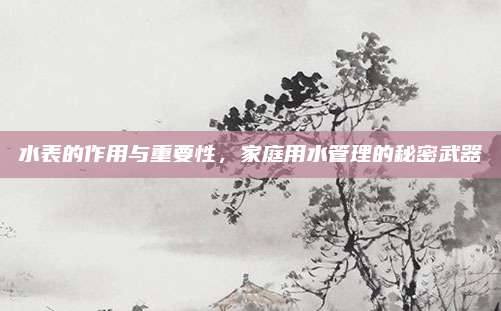 水表的作用與重要性,，家庭用水管理的秘密武器
