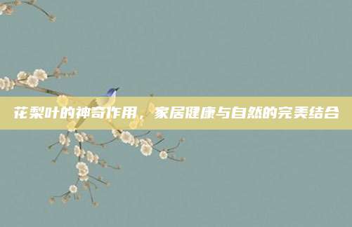 花梨葉的神奇作用，家居健康與自然的完美結合