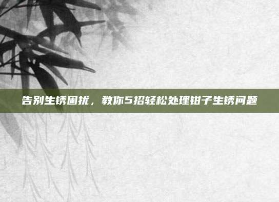 告別生銹困擾，教你5招輕松處理鉗子生銹問(wèn)題