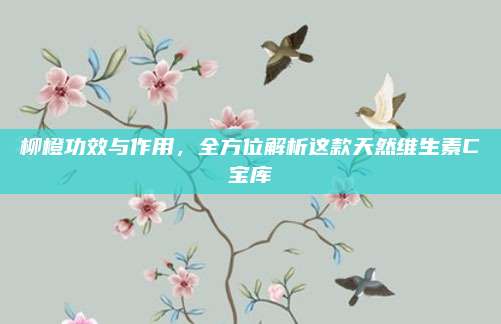 柳橙功效與作用,，全方位解析這款天然維生素C寶庫