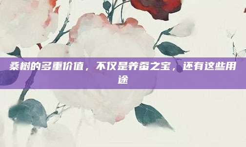 桑樹的多重價值,，不僅是養(yǎng)蠶之寶，還有這些用途