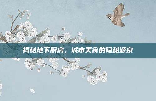 揭秘地下廚房,，城市美食的隱秘源泉