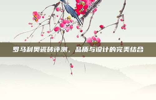 羅馬利奧瓷磚評測,，品質(zhì)與設(shè)計的完美結(jié)合
