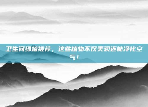 衛(wèi)生間綠植推薦，這些植物不僅美觀還能凈化空氣！
