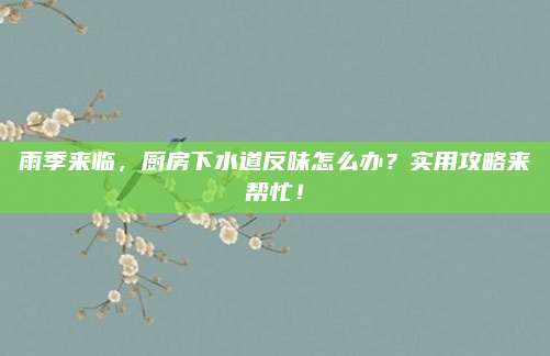雨季來(lái)臨,，廚房下水道反味怎么辦,？實(shí)用攻略來(lái)幫忙！