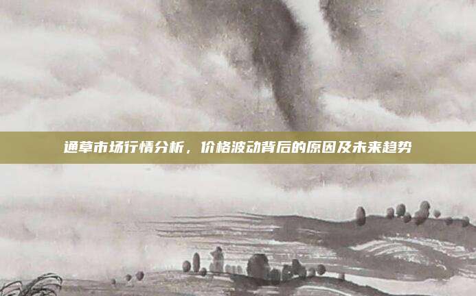 通草市場行情分析，價格波動背后的原因及未來趨勢
