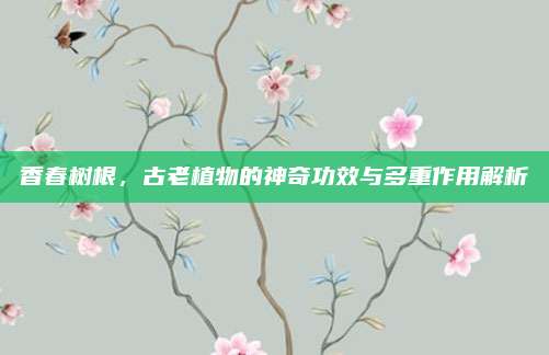香春樹(shù)根，古老植物的神奇功效與多重作用解析